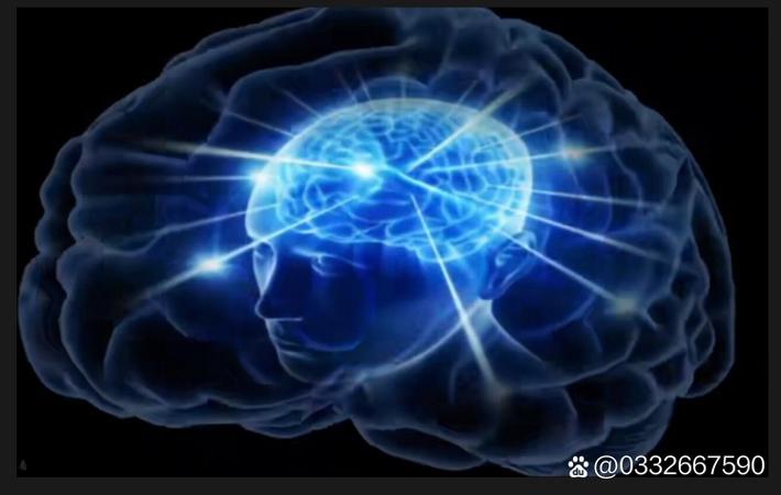 17吃瓜官网品牌徽标
